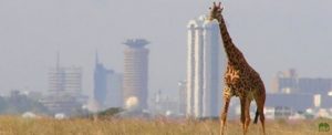 Kenya Nairobi Safari Holiday