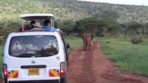 Tsavo East National Park Kenya