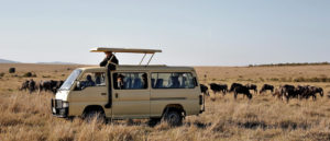 Considering a group safari