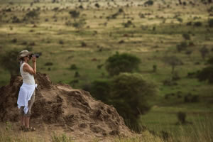 view animals observation hill