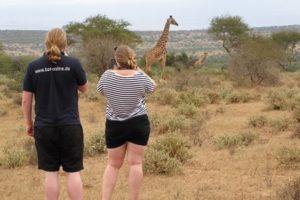 Safari from Nairobi