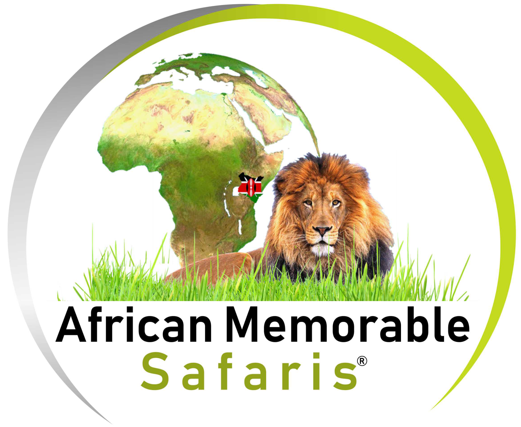 south africa safari tour