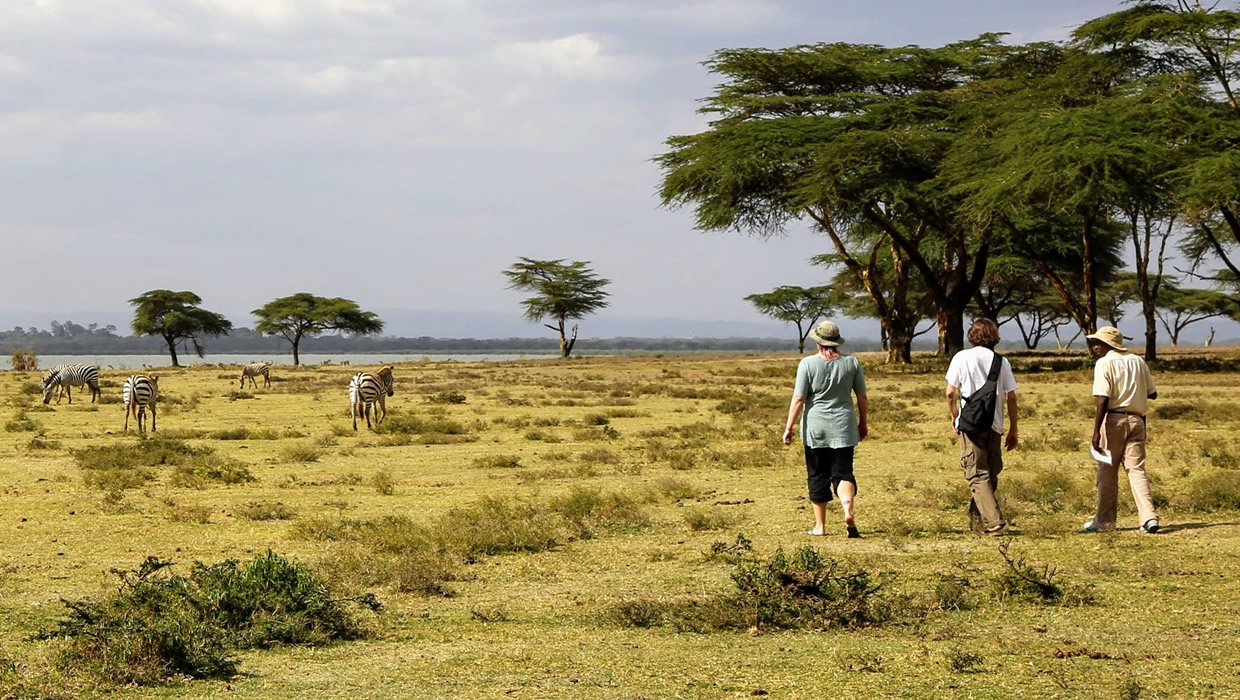 Walking With Zebras Crescent Island kenya Safari