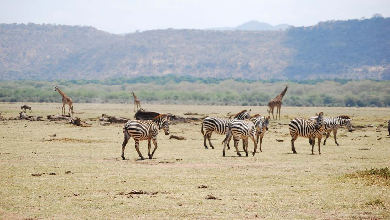 tanzania-national-parks