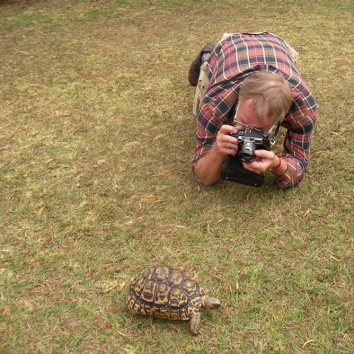 Nairobi Day Trip | Half-day Nairobi City Tour