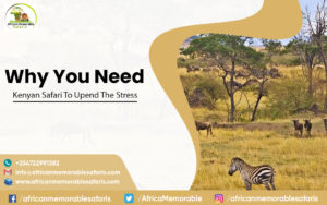 Why You Need Kenyan Safari To Upend The Stress