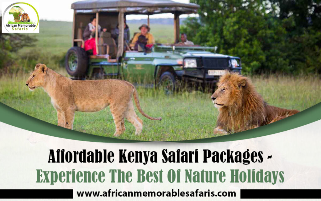 Affordable Kenya Safari Packages - Experience The Best Of Nature Holidays