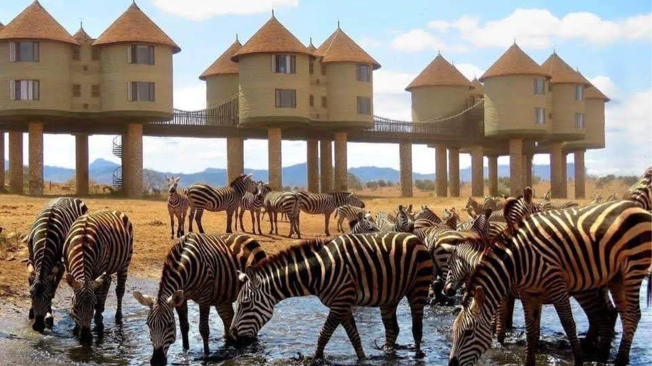 3 Days Tsavoe East Safari From Mombasa or Diani