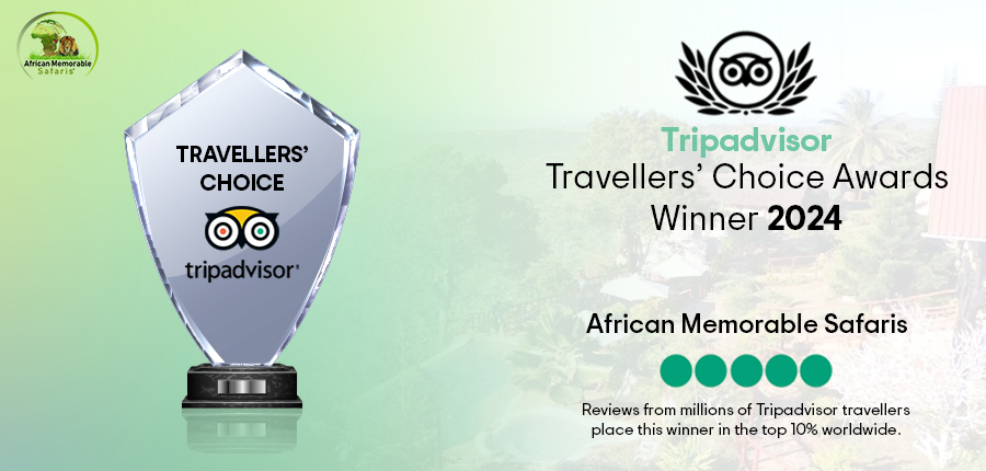 Tripadvisor Travellers’ Choice Awards 2024