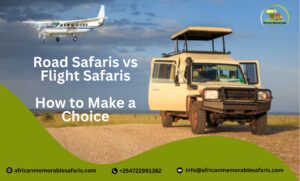 Flight vs drive safari