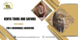 Kenya tours and safari