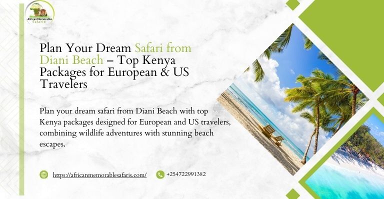 Plan Your Dream Safari from Diani Beach