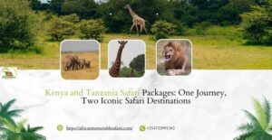 Kenya and Tanzania Safari Packages