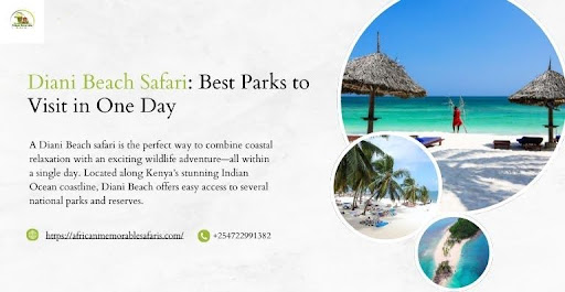 Diani Beach Safari: Best Parks to Visit in One Day