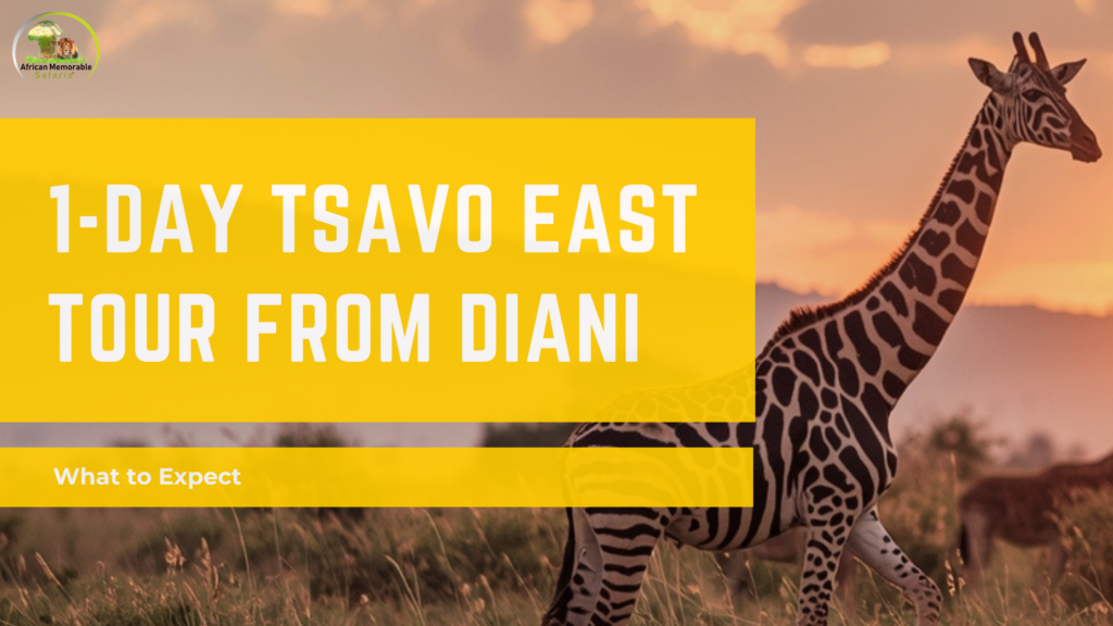 1-Day Tsavo East Tour