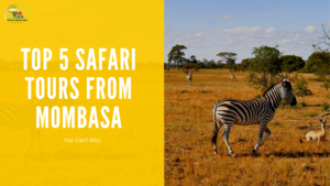 5 Safari tours from mombasa