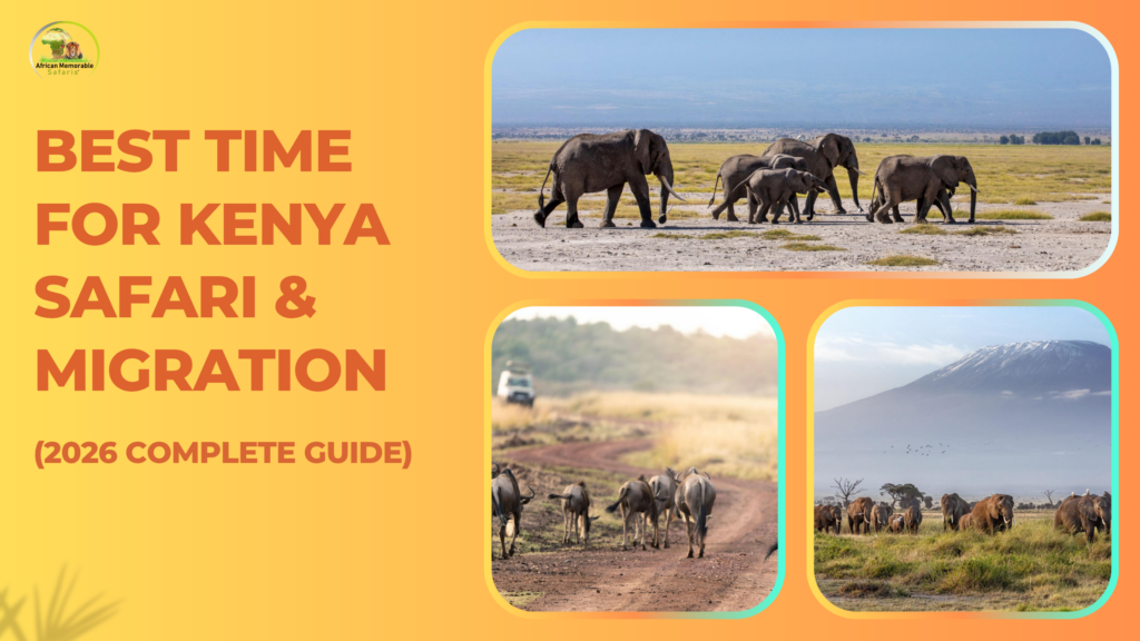 Best Time for Kenya Safari & Migration