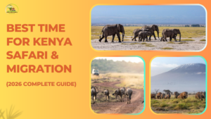 Best Time for Kenya Safari & Migration