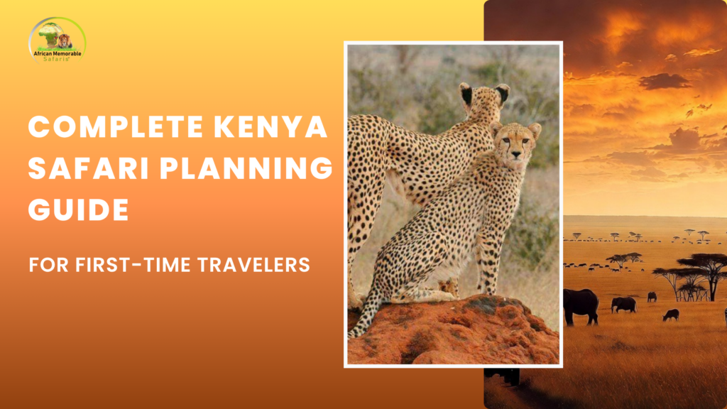 complete kenya safari planning guide