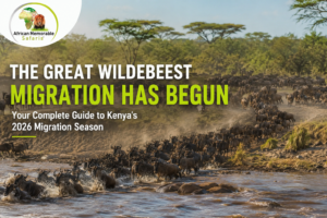 Great migration