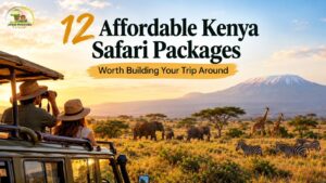 Check 12 affordable Kenya safari packages
